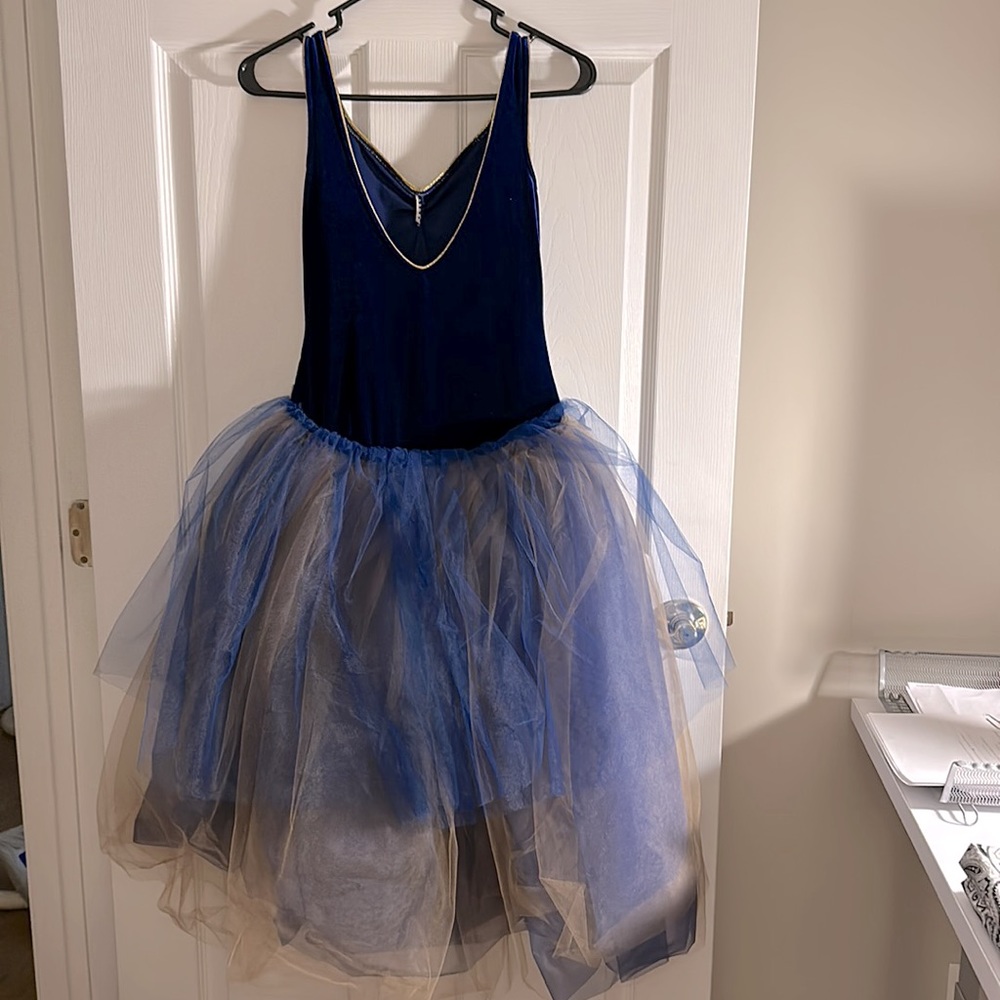 Dance Costume - Picture 4 of 6